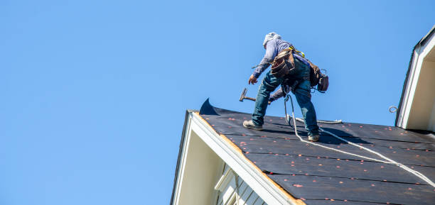 Best Gutter Installation and Roofing  in Palacios, TX